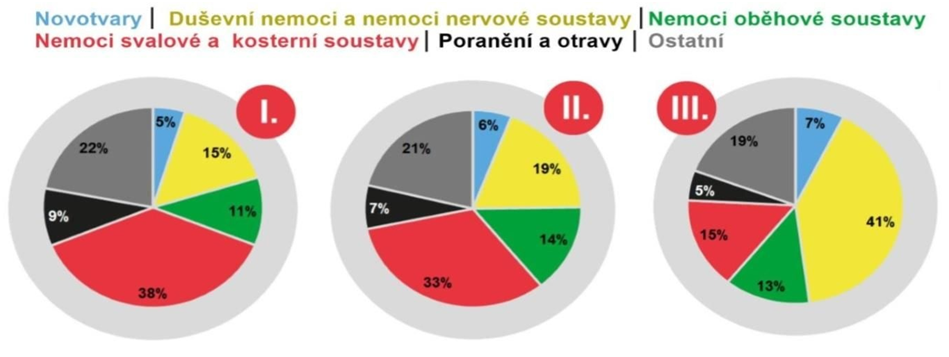 Přehled příčin invalidity podle stupňů I., II. a III.